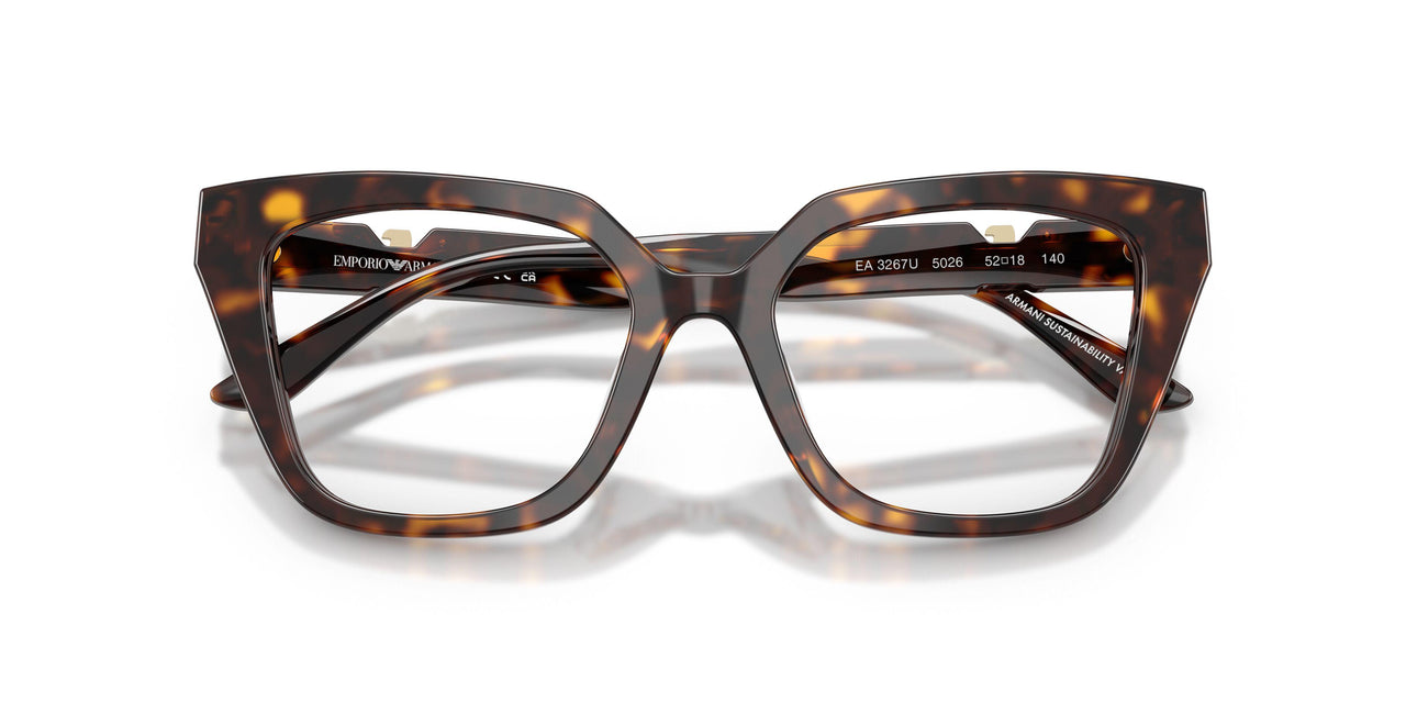 5026 - Tortoise