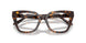 5026 - Tortoise