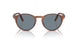 900656 - Brown - Light Blue