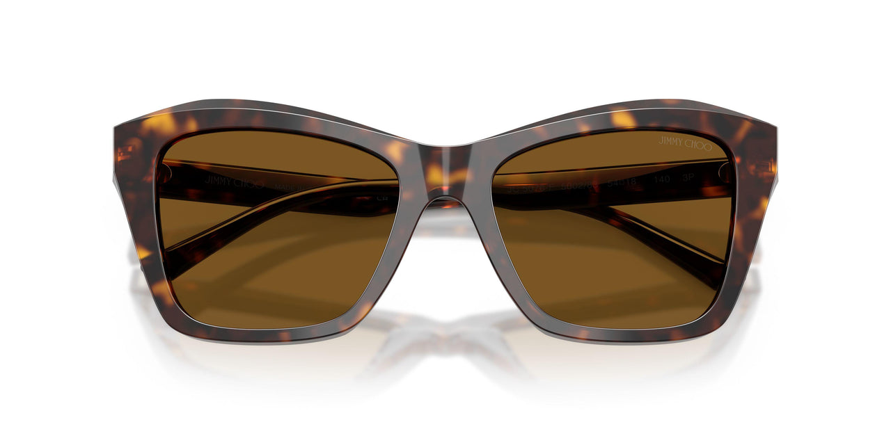 500283 - Tortoise - Dark Brown Polarized