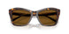 500283 - Tortoise - Dark Brown Polarized