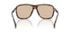304893 - Tortoise - Gradient Brown