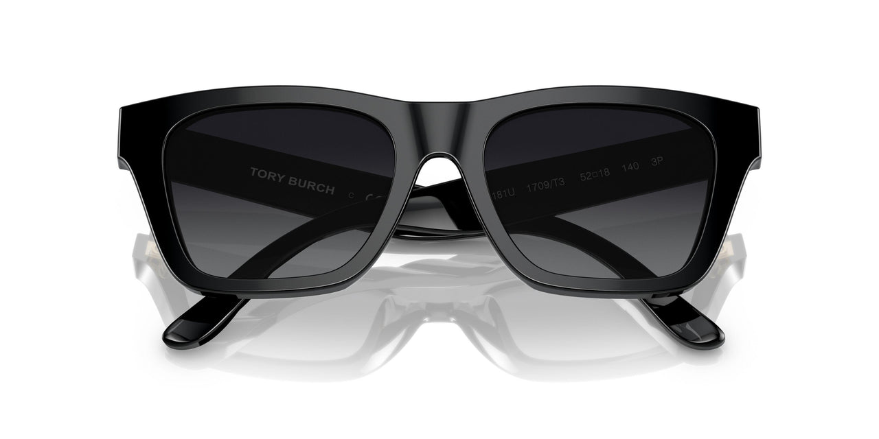 1709T3 - Black - Grey Gradient Polar