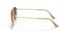 919657 - Gold - Polar Brown