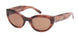 ABERCROMBIE & FITCH 00024 Sunglasses