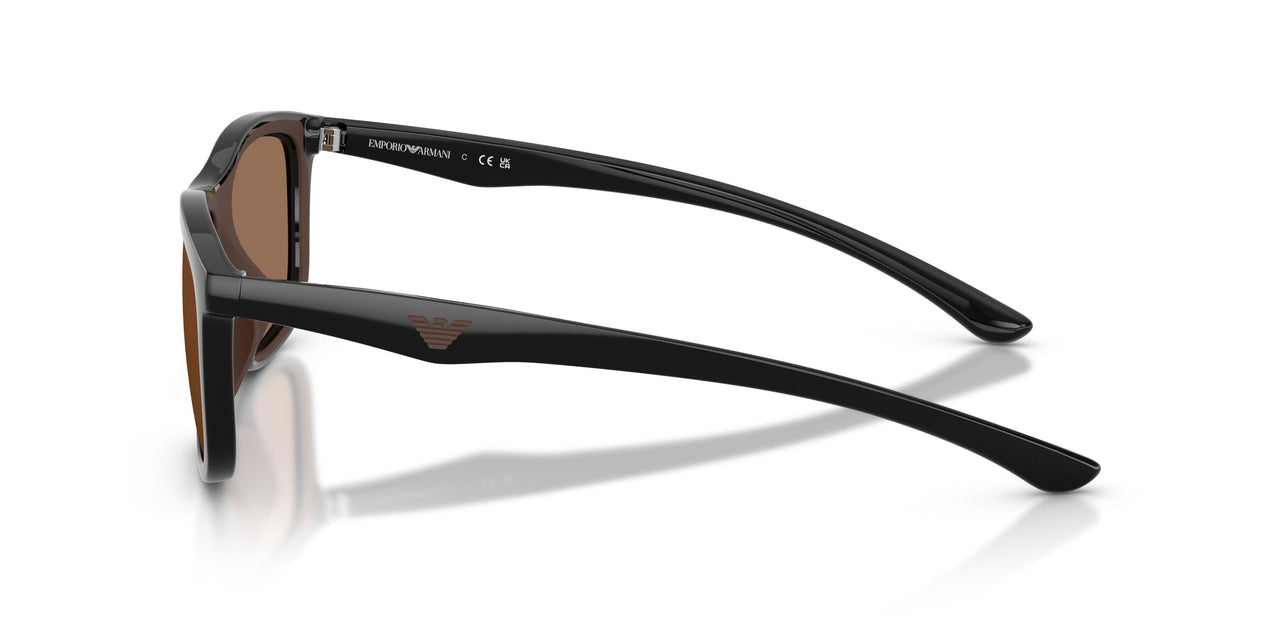 501773 - Black - Dark Brown