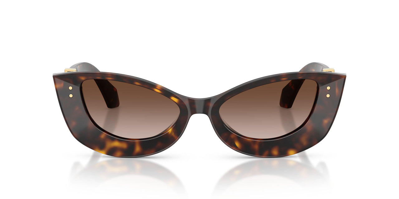 108/13 - Brown - Brown Gradient