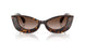 108/13 - Brown - Brown Gradient
