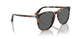1102B1 - Tortoise - Polar Black