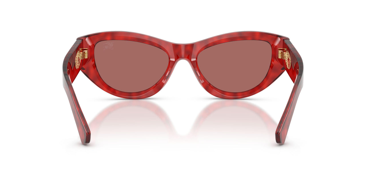 425769 - Red - Dark Violet