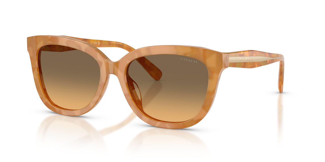 593911 - Tortoise - Olive