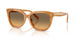 593911 - Tortoise - Olive