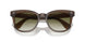 16258E - Brown - Olive Gradient