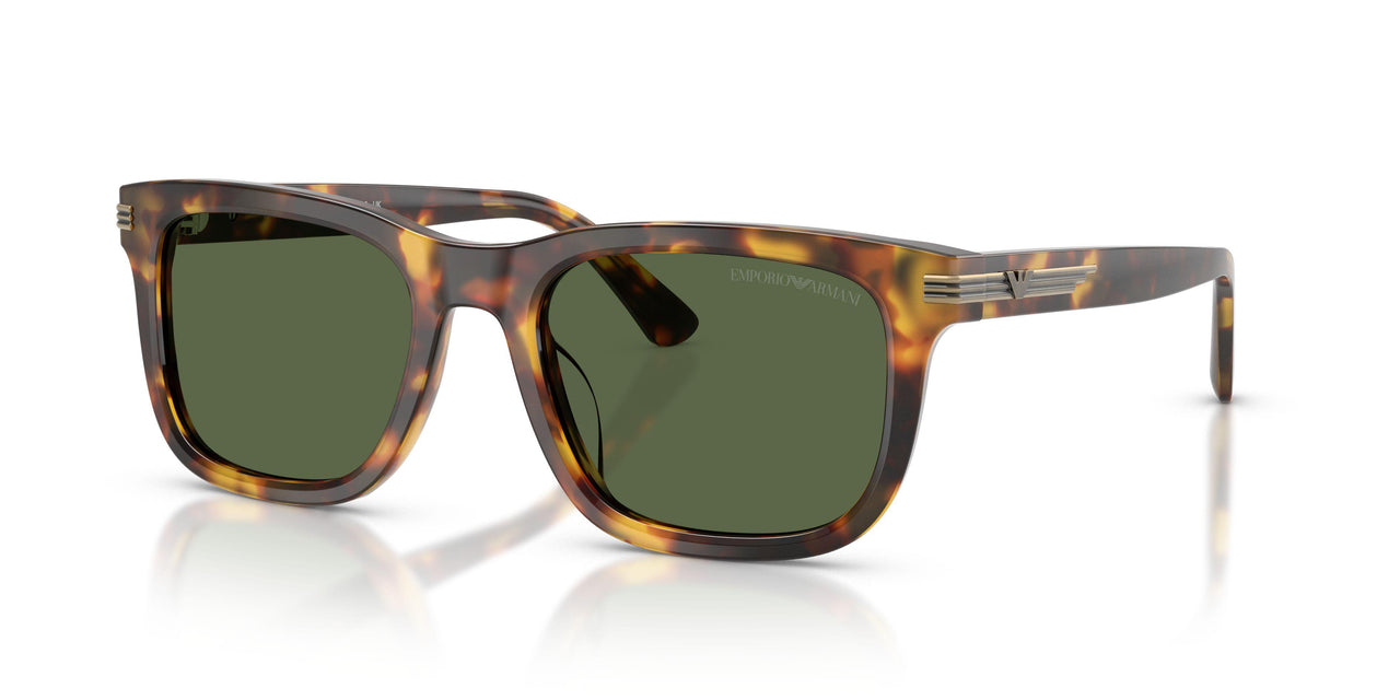 Emporio Armani 4282U Sunglasses