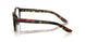 5811O1 - Tortoise