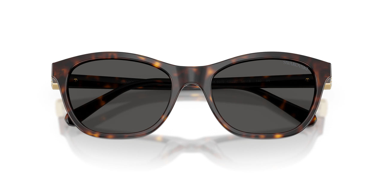 100287 - Tortoise - Dark Grey