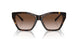 502613 - Tortoise - Gradient Brown