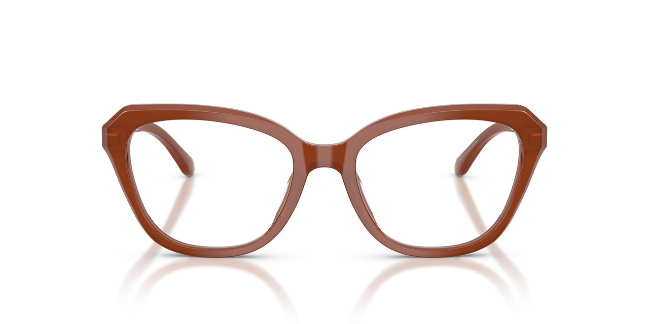 5841 - Brown