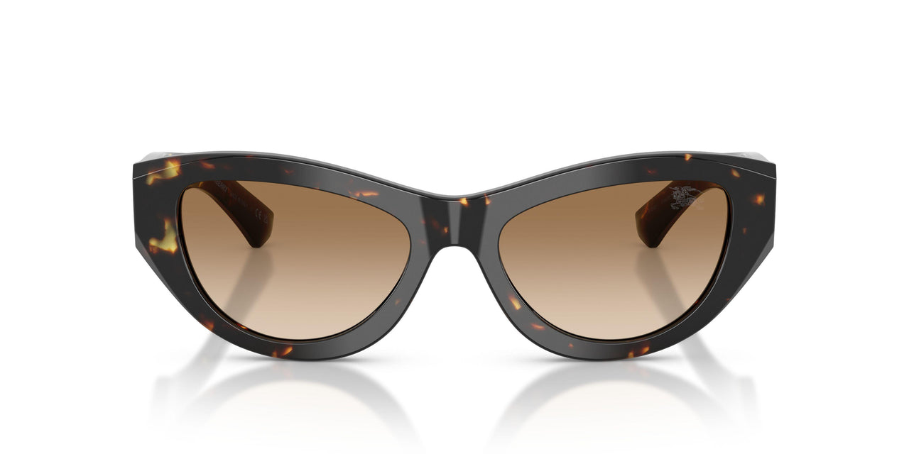 410689 - Tortoise - Brown Gradient