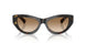 410689 - Tortoise - Brown Gradient