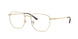 Ray-Ban 8776D Eyeglasses