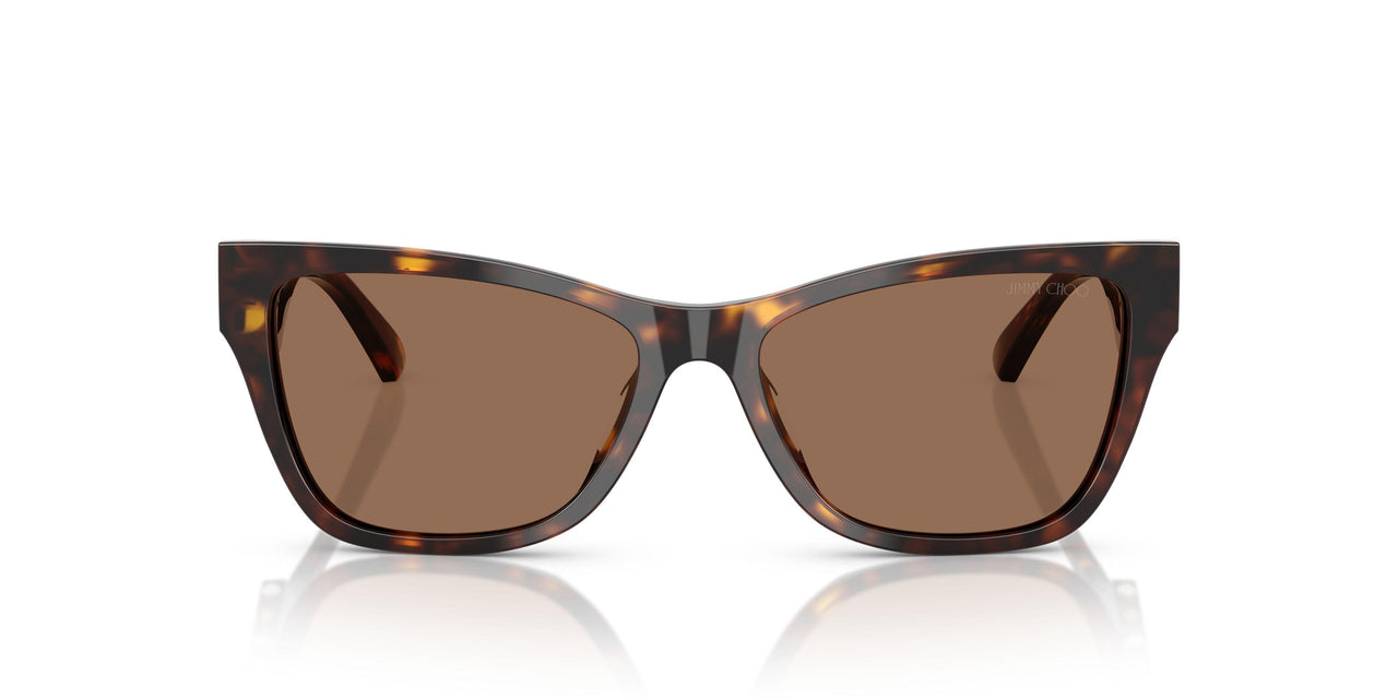 500273 - Tortoise - Dark Brown
