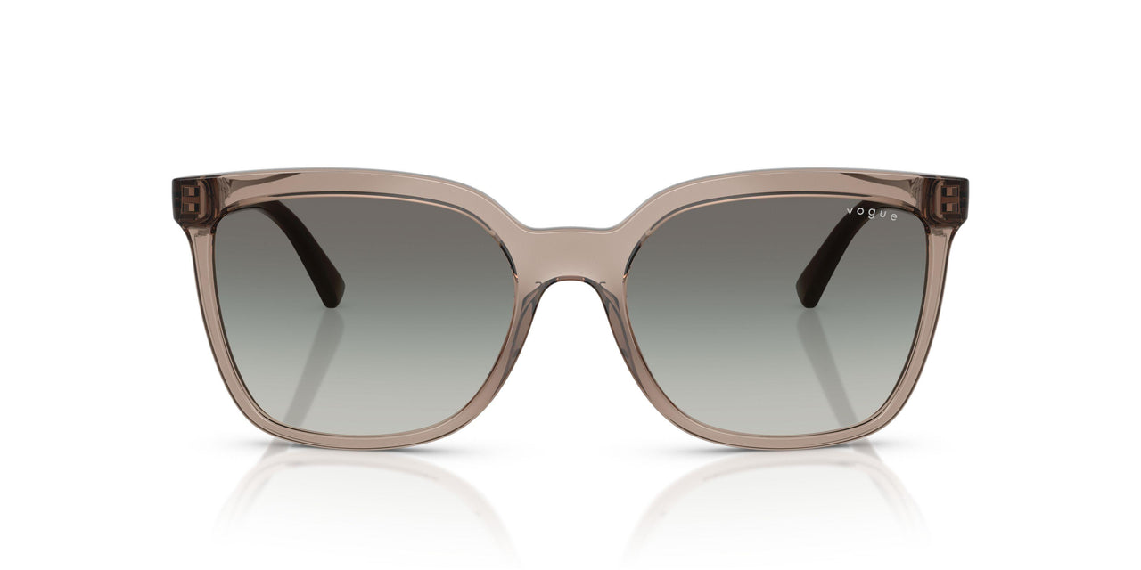 294011 - Brown - Gradient Grey