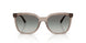 294011 - Brown - Gradient Grey
