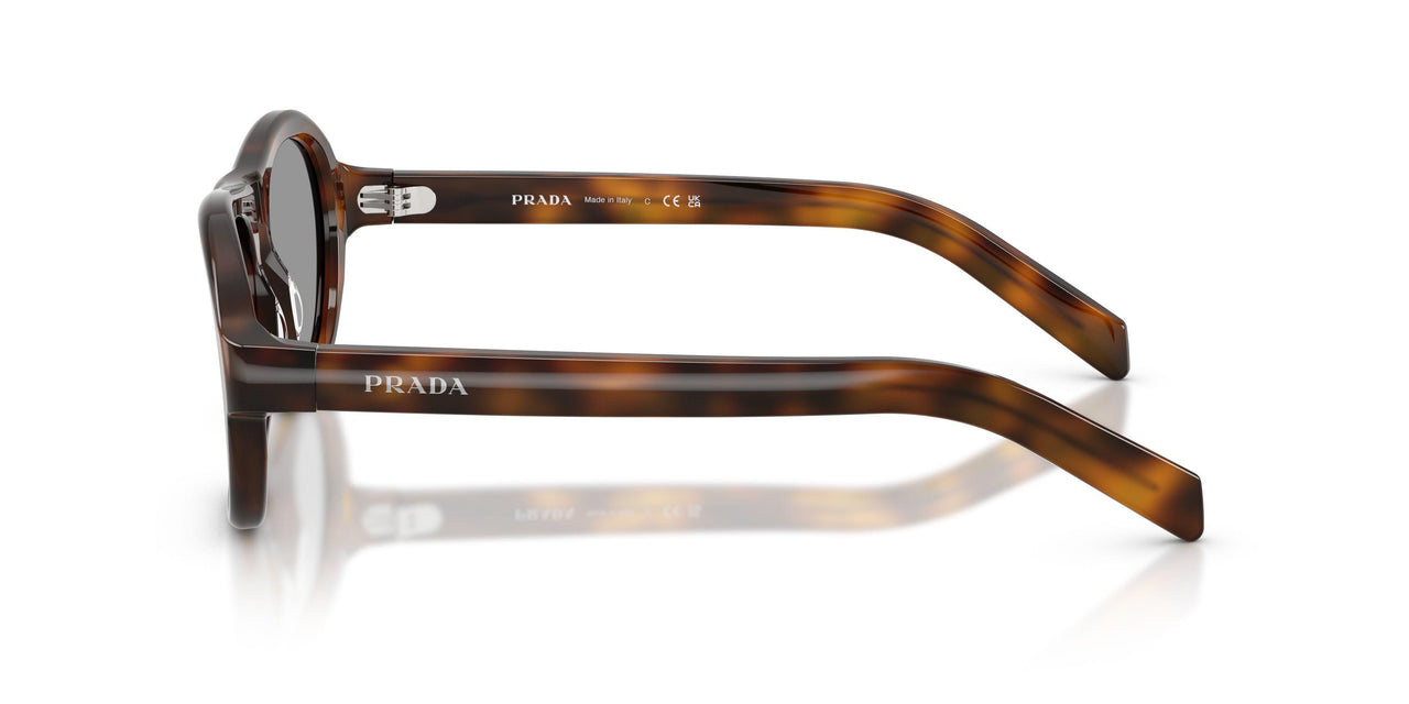 20D50Q - Havana Brown