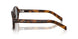 20D50Q - Havana Brown