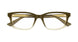 006 - Brown - Transparent