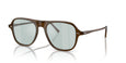 1625 - Brown / 56