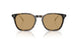 620773 - Tortoise - Brown