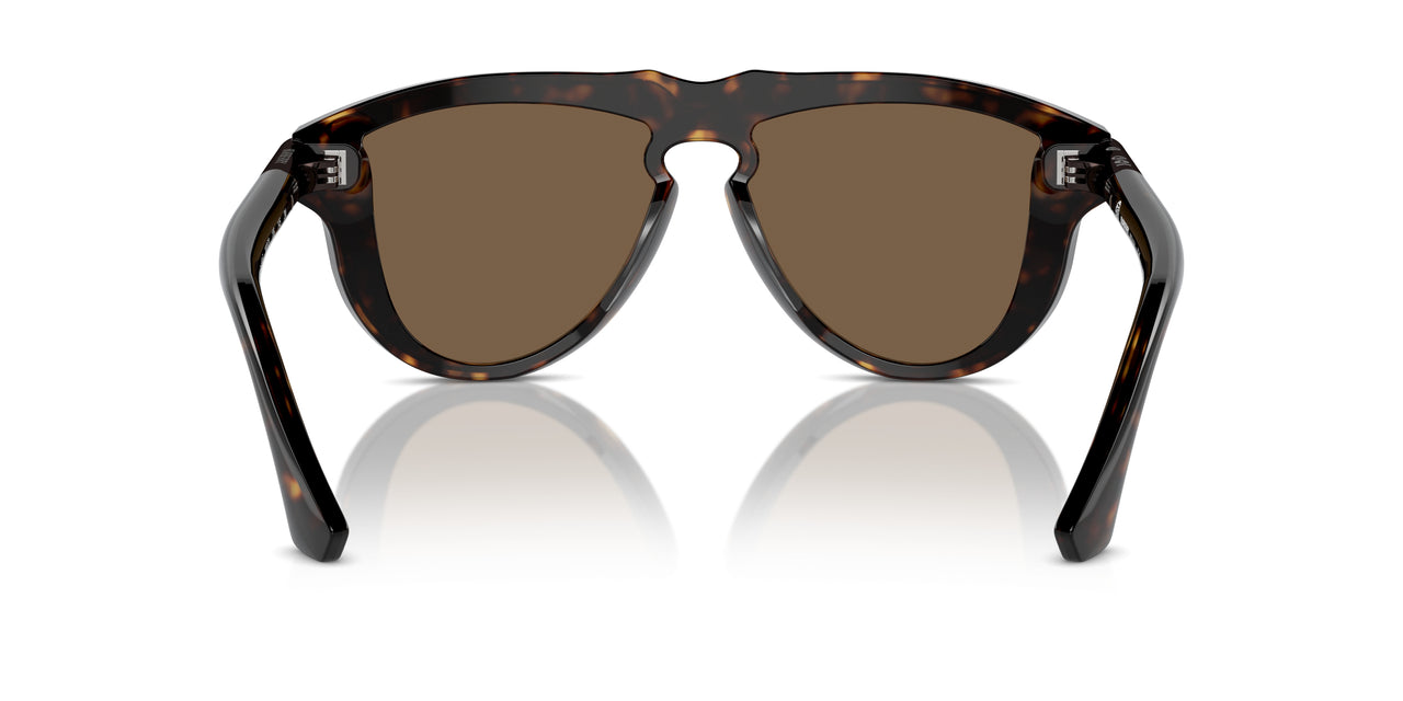 300273 - Brown - Brown