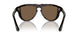 300273 - Brown - Brown