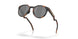924225 - Tortoise - Prizm Black