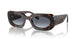 612486 - Tortoise - Light Blue Gradient Grey