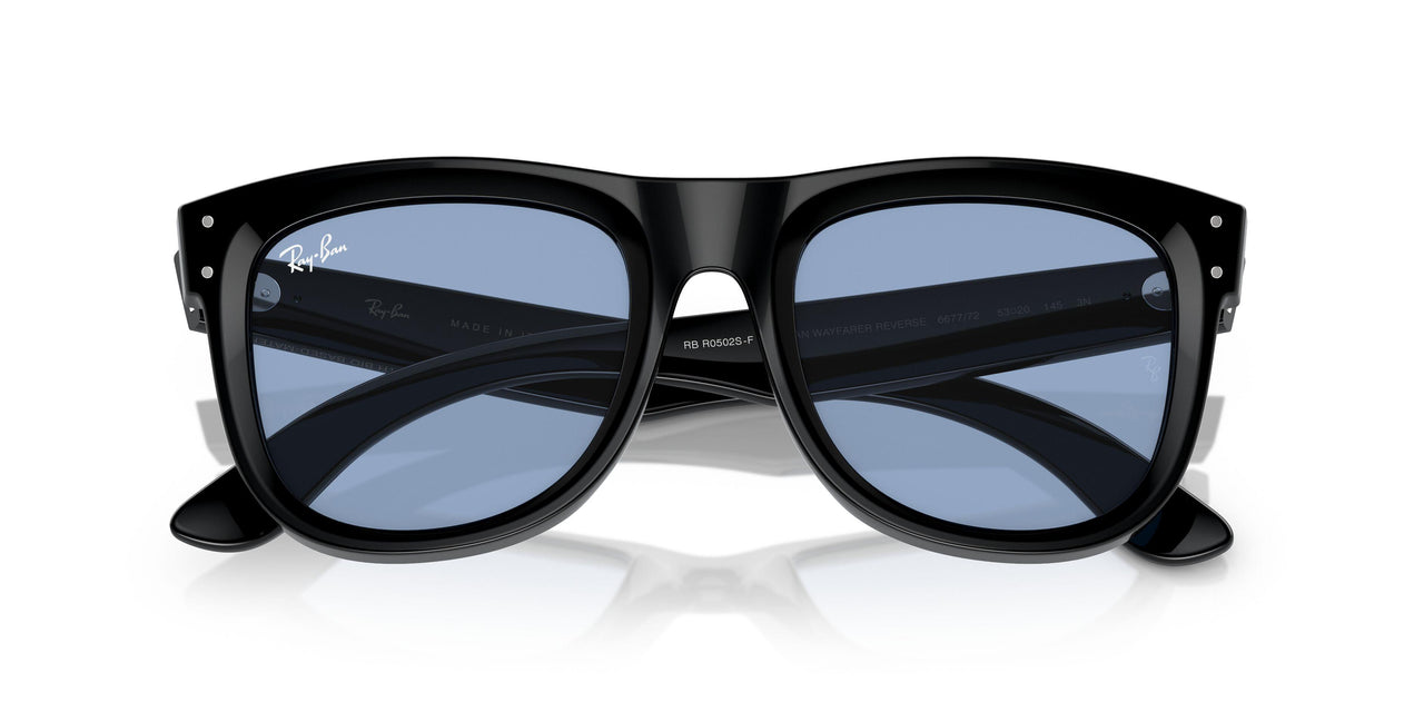 667772 - Black - Light Blue
