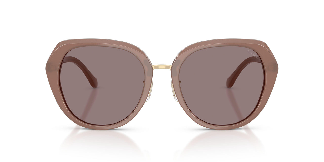 54957N - Brown - Purple Solid