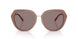 54957N - Brown - Purple Solid