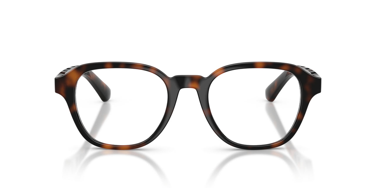 3002 - Brown