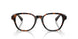 3002 - Brown