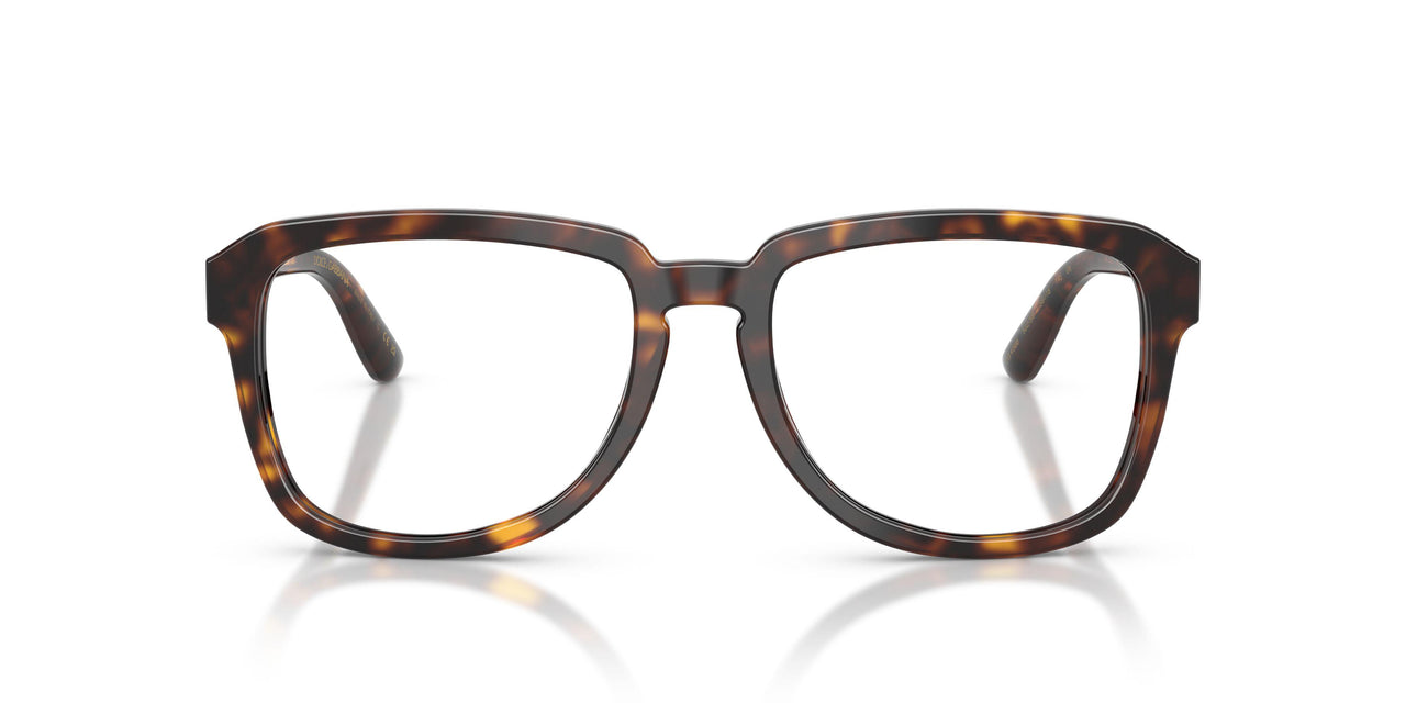 502/SB - Tortoise - Clear Blue Light Filter