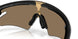 949915 - Black - Prizm 24k Polarized