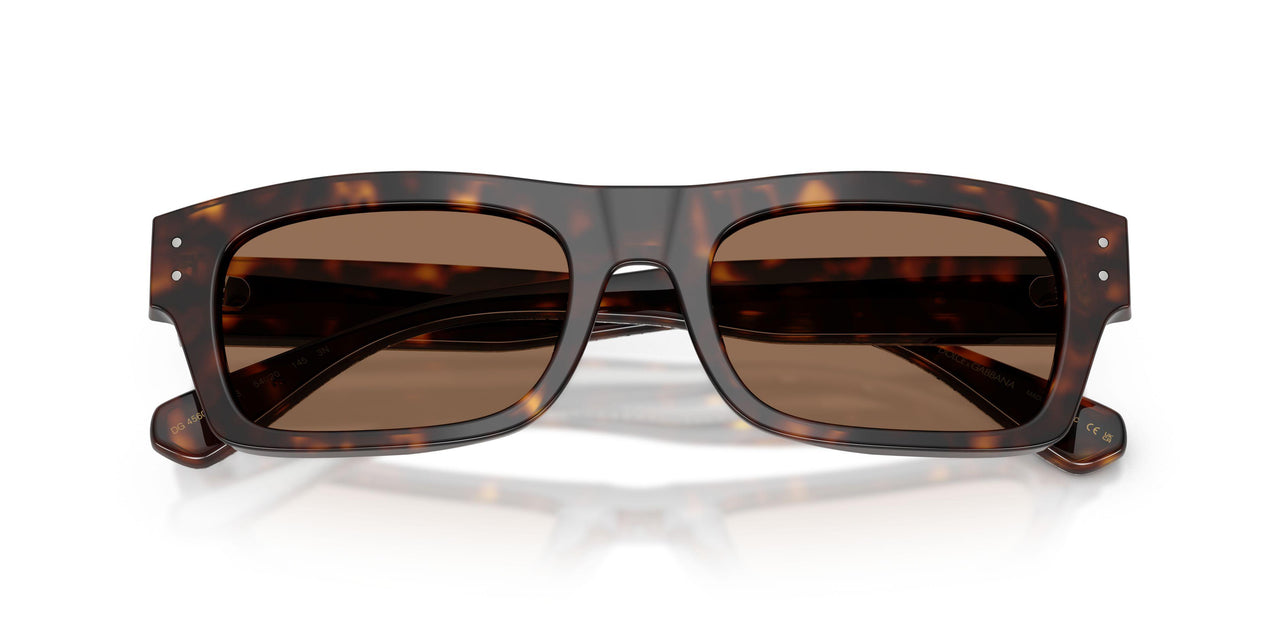 502/73 - Tortoise - Dark Brown