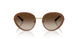 344113 - Brown - Brown Gradient