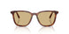 26E10R - Brown - Yellow