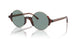506914 - Gold - Grey