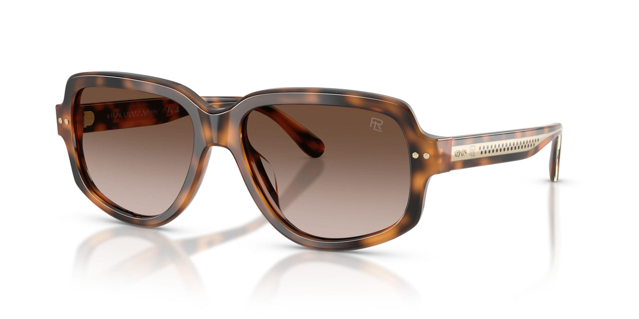 608913 - Tortoise - Gradient Brown