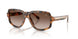 608913 - Tortoise - Gradient Brown